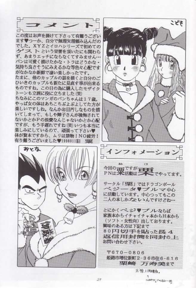 [Chirigami Goya, Fusuma go Ten (Shoji Hariko, Kuri)] Wakayo (Dragon Ball) - Page 30
