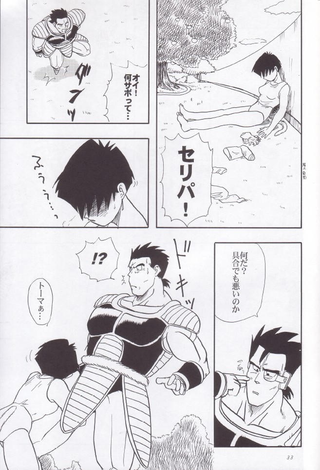 [Chirigami Goya, Fusuma go Ten (Shoji Hariko, Kuri)] Wakayo (Dragon Ball) - Page 34