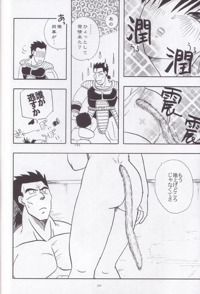 [Chirigami Goya, Fusuma go Ten (Shoji Hariko, Kuri)] Wakayo (Dragon Ball) - Page 35
