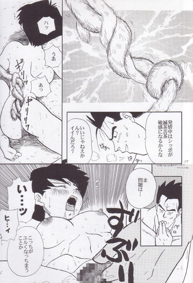 [Chirigami Goya, Fusuma go Ten (Shoji Hariko, Kuri)] Wakayo (Dragon Ball) - Page 40