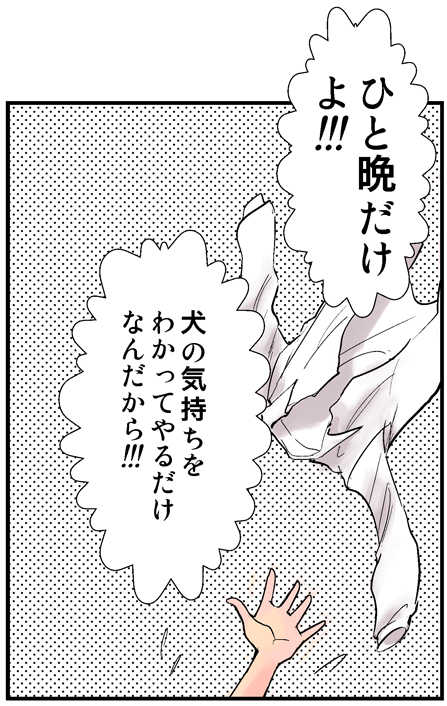 Reward Louise - Page 17