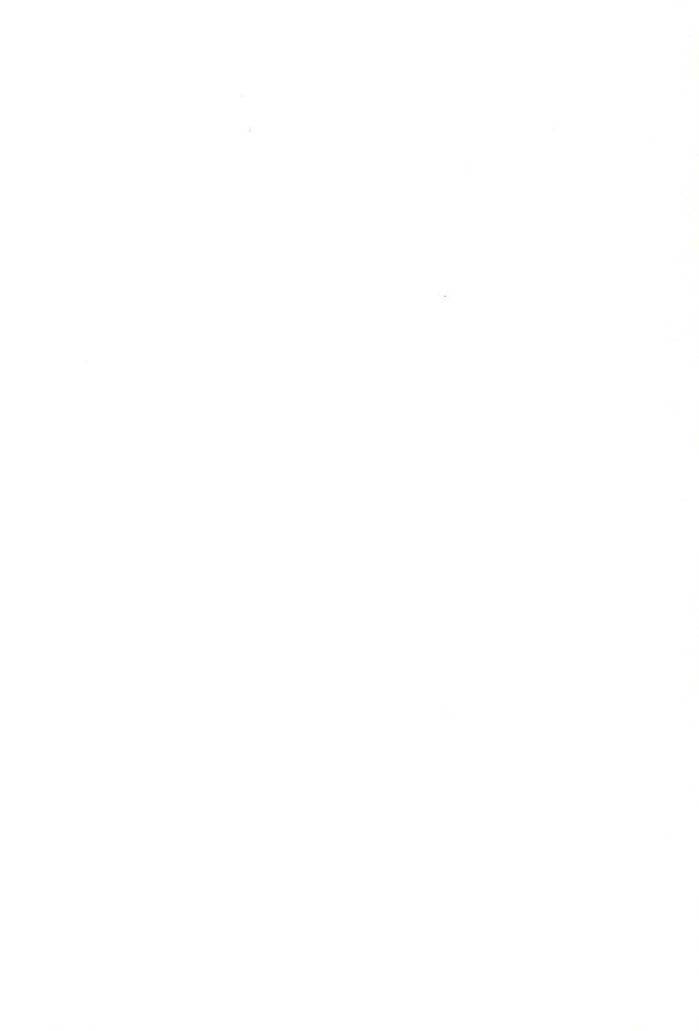 (C75) [C'sHOUSE (Iguchi Sentarou)] Mesubuta Mitsudomo Yarou (Mitsudomoe) - Page 2