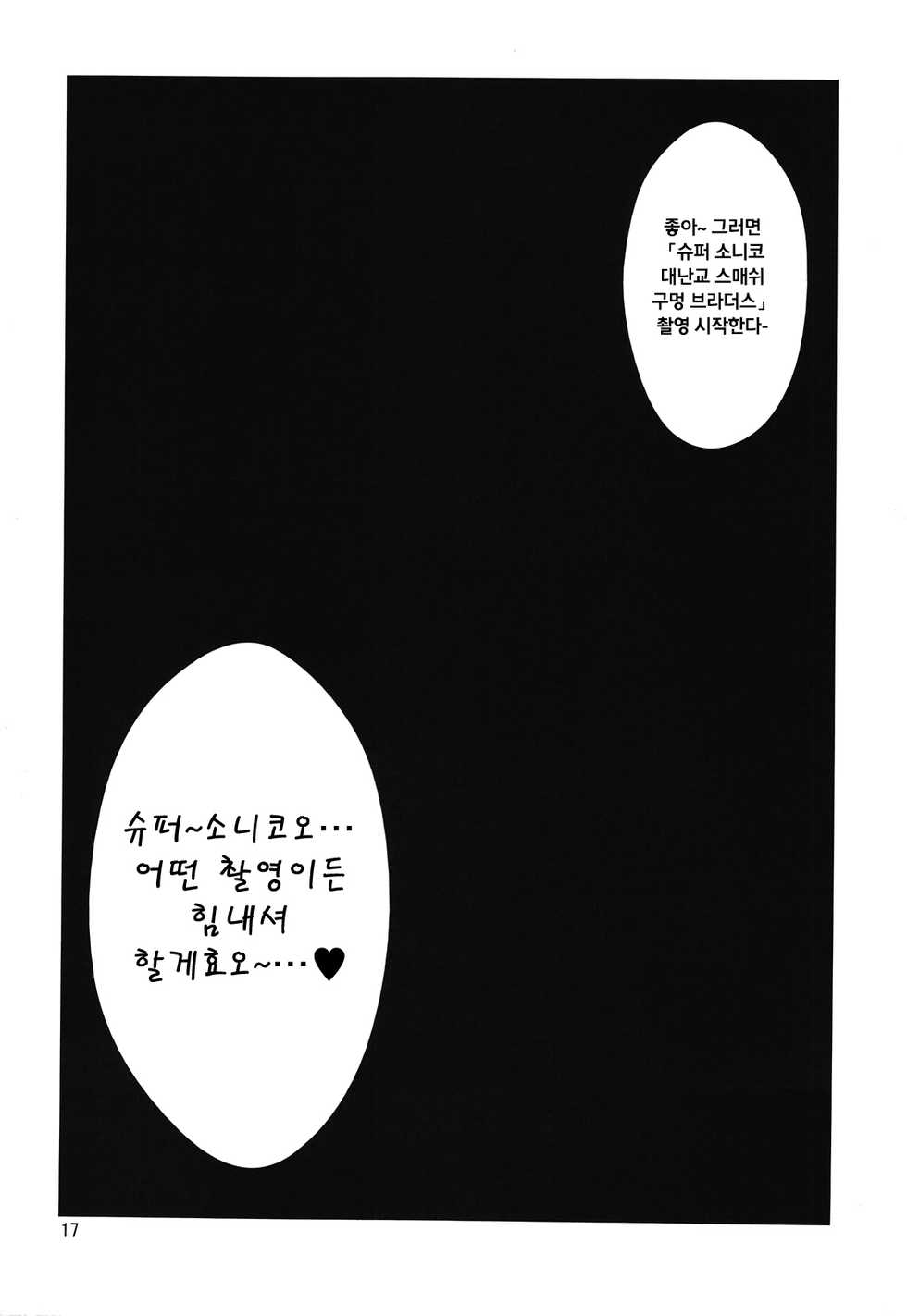 (C81) [Hanjuku Yude Tamago (Canadazin)] Sonico-san ga Botebara ni Sarete Ecchi na Koto o Sarechau Hon (Super Sonico) [korean] - Page 17