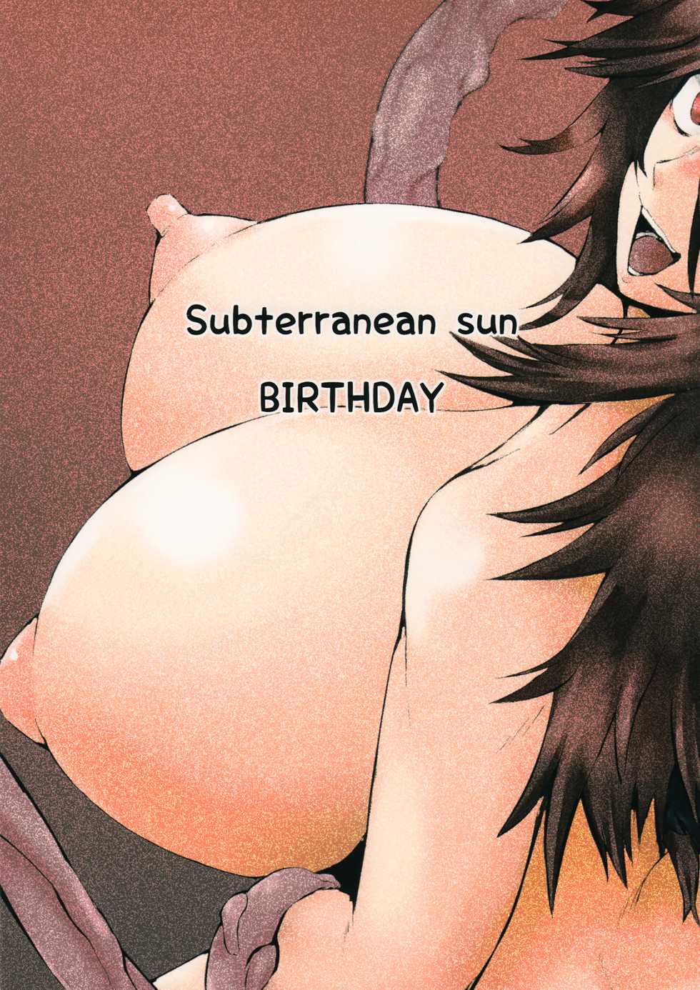 (C88) [Nejikiri Sister (Hanemikakko)] Subterranean Sun Birthday (Touhou Project) - Page 22
