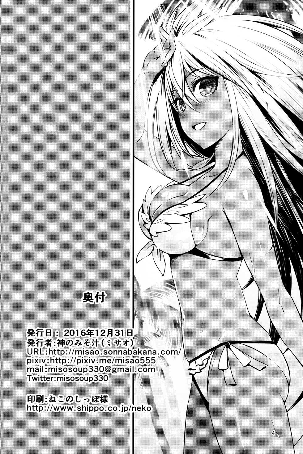 (C91) [Kami No Misosiru (Misao)] Kasshoku no Utage (Granblue Fantasy) - Page 3