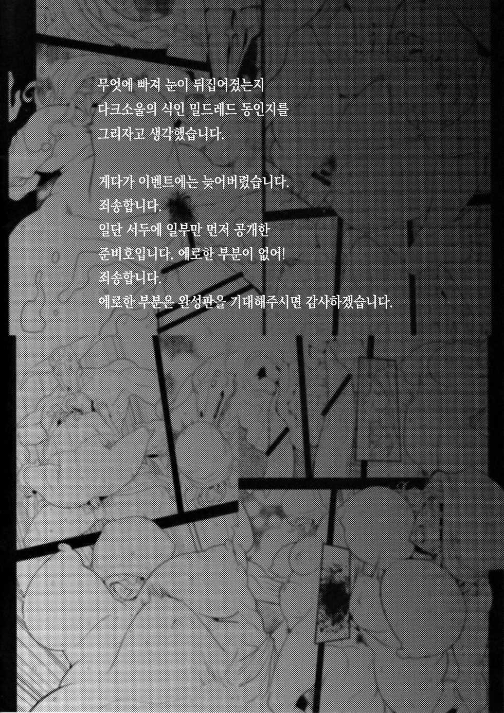 (COMIC1☆11) [Da Hootch (ShindoL)] MILDRED Junbigou | MILDRED 준비호 (Dark Souls) [Korean] [팀☆데레마스] - Page 3