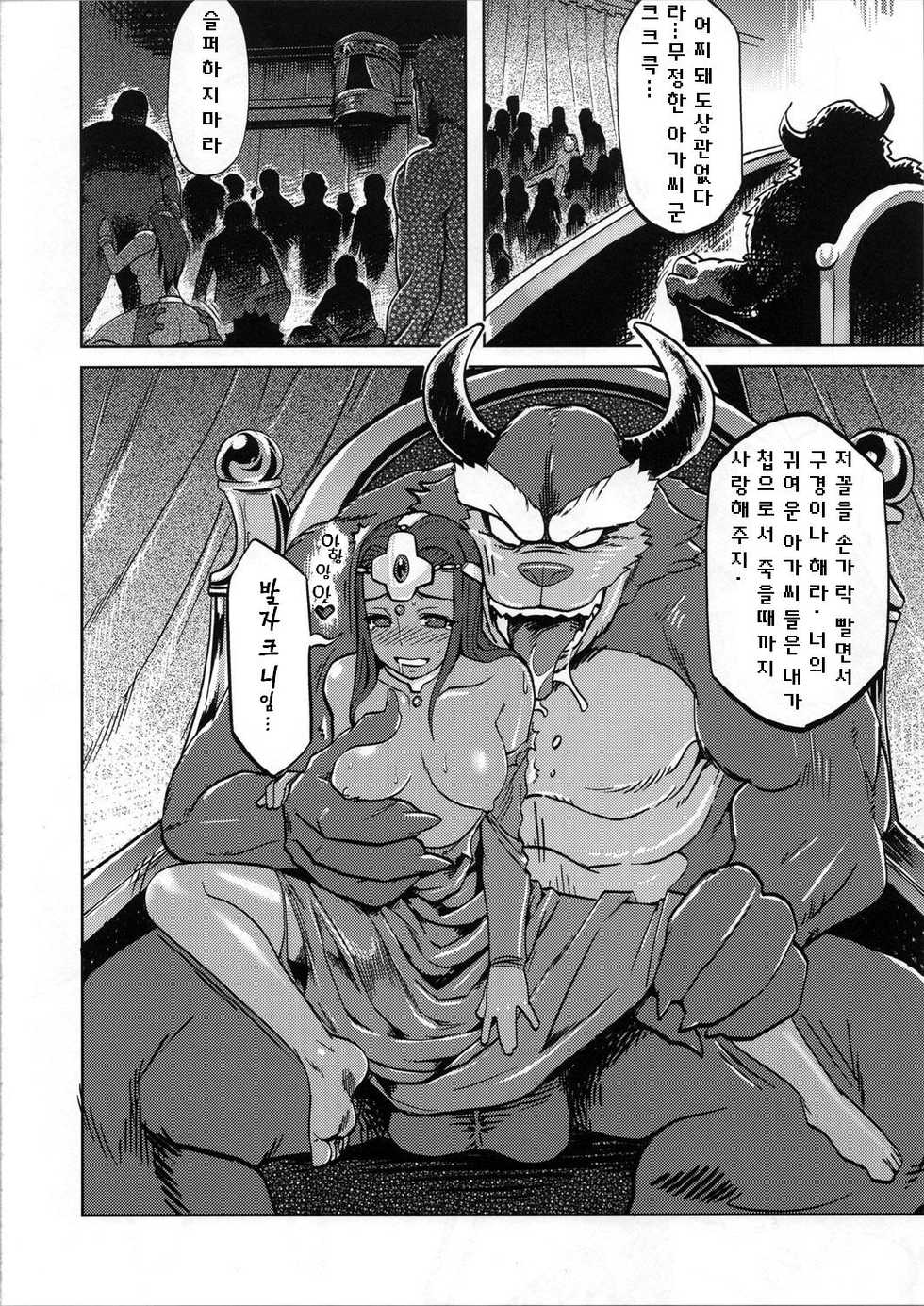 (C71) [Finecraft69 (6ro-)] Ero to Manya (Dragon Quest IV) [Korean] [난투파티] - Page 20