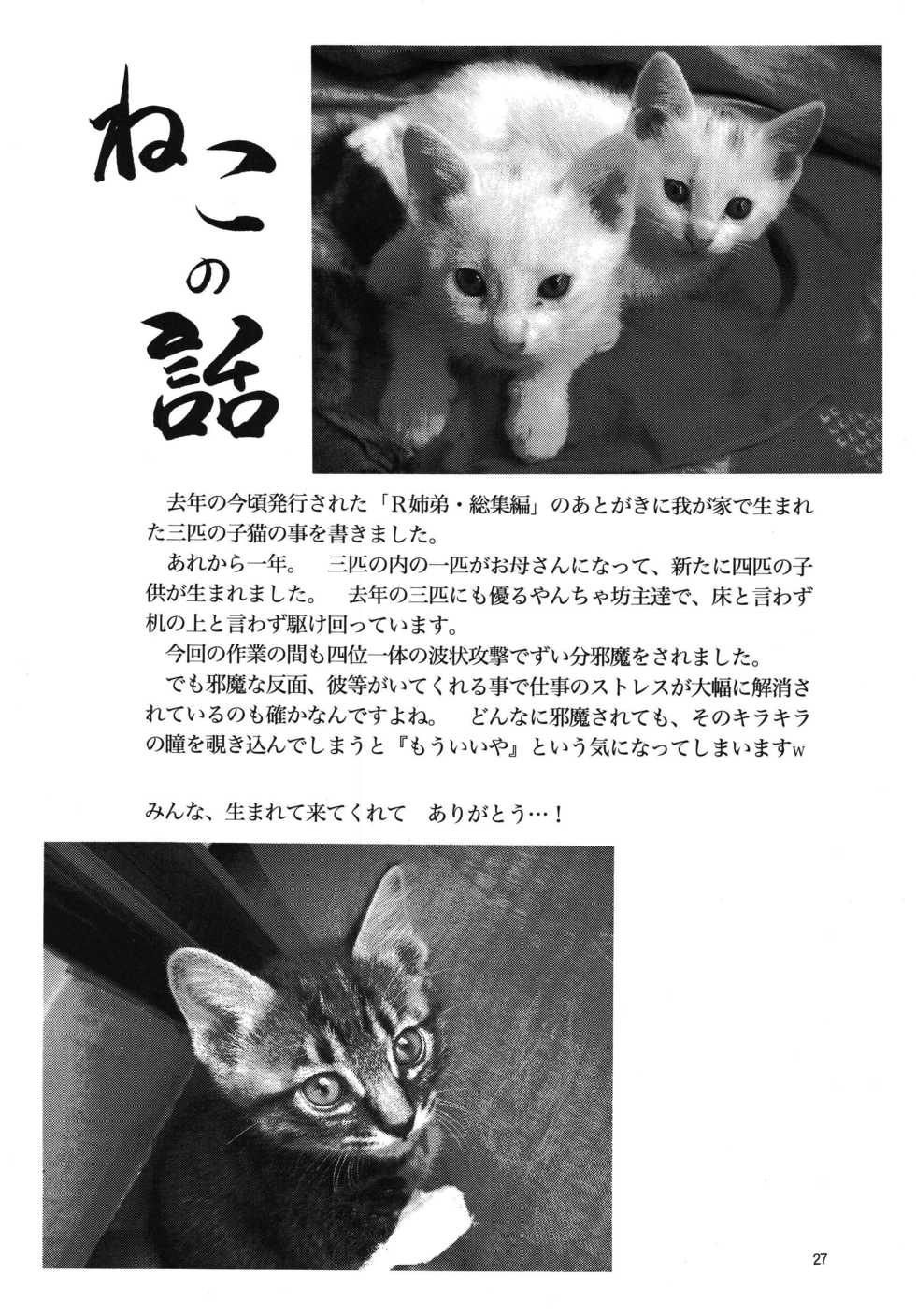 (C76) [RPG COMPANY 2 (Yoriu Mushi)] Bridge [German] [Shrö] - Page 26