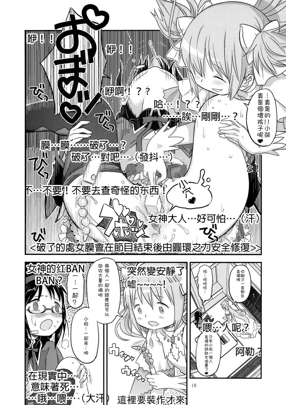 (C89) [GADGET (A-10, Ore to Umi, GOMOS)] GIRLIE:EX02 (Puella Magi Madoka Magica) [Chinese] [沒有漢化] - Page 19