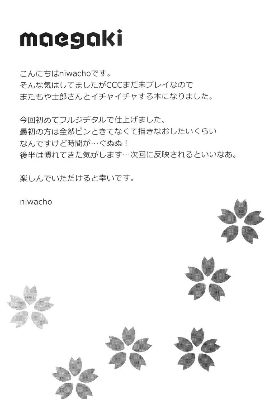 (C84) [TRIP SPIDER (niwacho)] cado2 (Fate/stay night) [Chinese] - Page 3