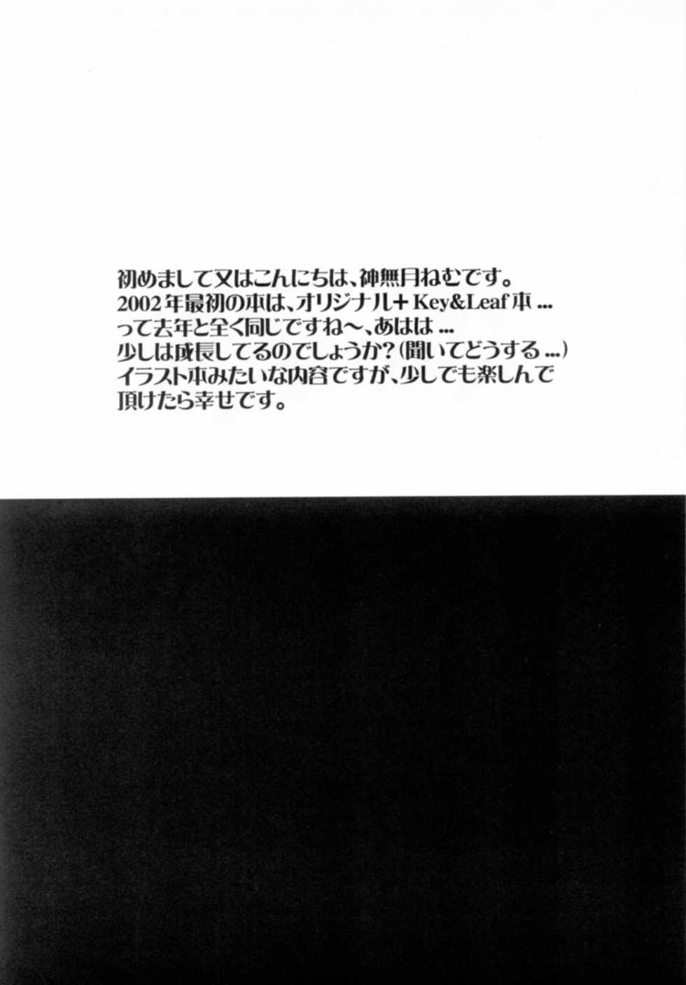 [A.L.C (Kannazuki Nemu)] Wonderful World - Page 12