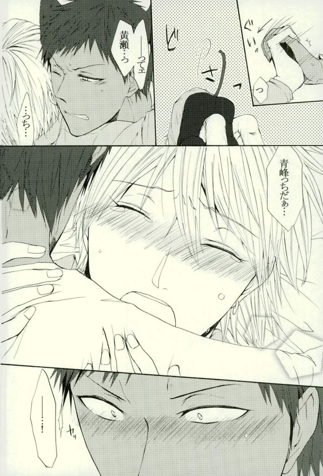 (HaruCC21) [Cutie★Complex (Hatsuka)] Neko no Kimochi 3 (Kuroko no Basuke) - Page 18