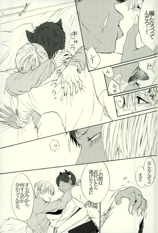 (HaruCC21) [Cutie★Complex (Hatsuka)] Neko no Kimochi 3 (Kuroko no Basuke) - Page 23