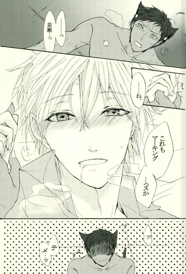 (HaruCC21) [Cutie★Complex (Hatsuka)] Neko no Kimochi 3 (Kuroko no Basuke) - Page 27