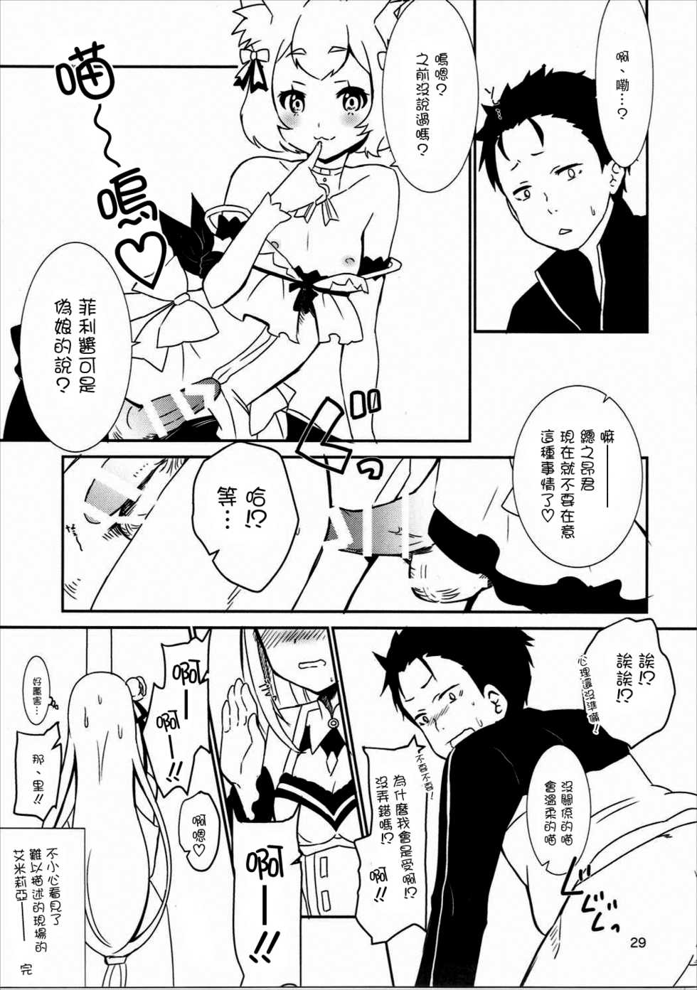 (SC2016 Autumn) [BANGEYA (Kanno Kei)] eXtra (Re:Zero kara Hajimeru Isekai Seikatsu) [Chinese] [瑞树汉化组] - Page 28