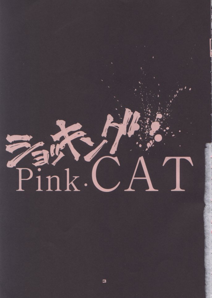 (C48) [Pussy CAT (Oono Tetsuya)] Shocking Pink-Cat (Mahou Shoujo Pretty Sammy) - Page 3