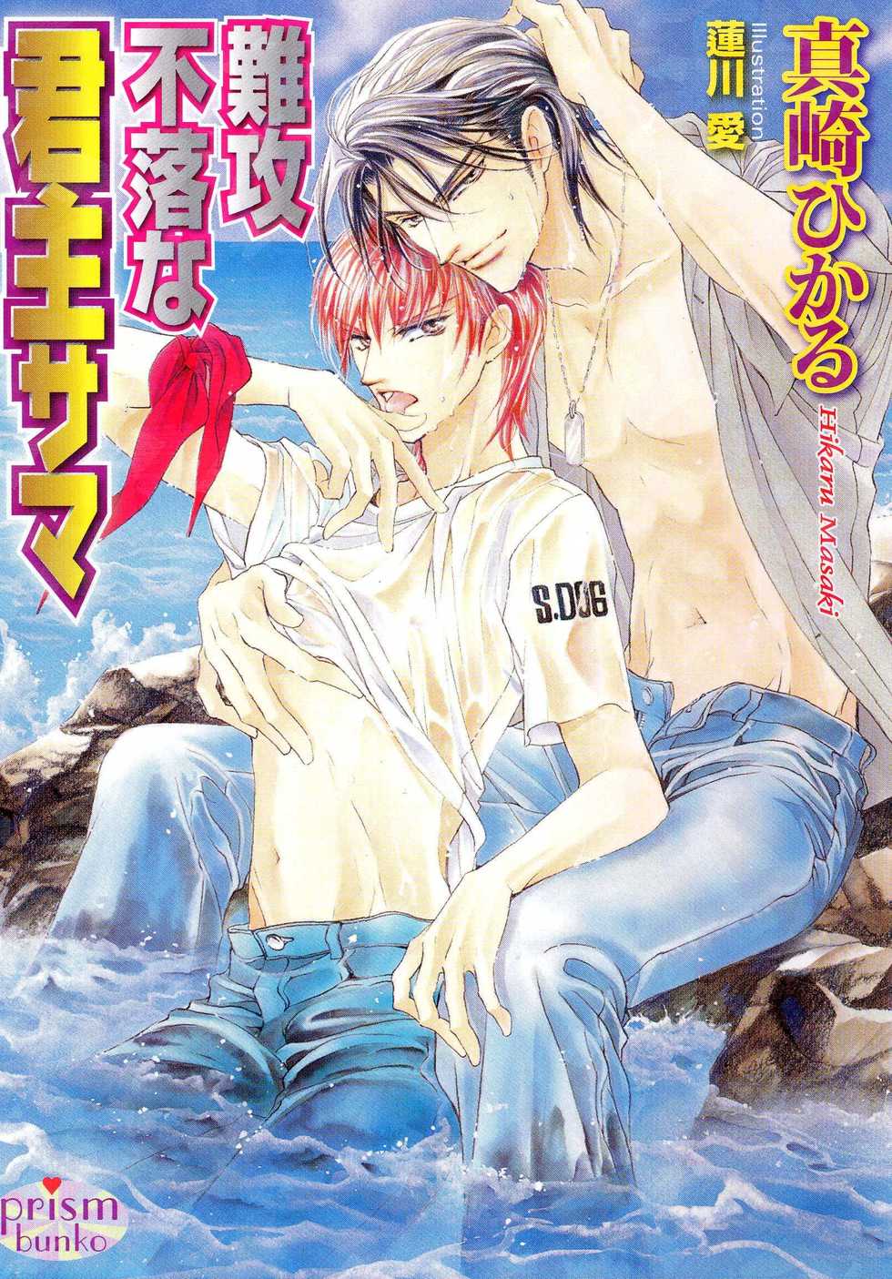 Ai Hasukawa Illustrations - Page 11