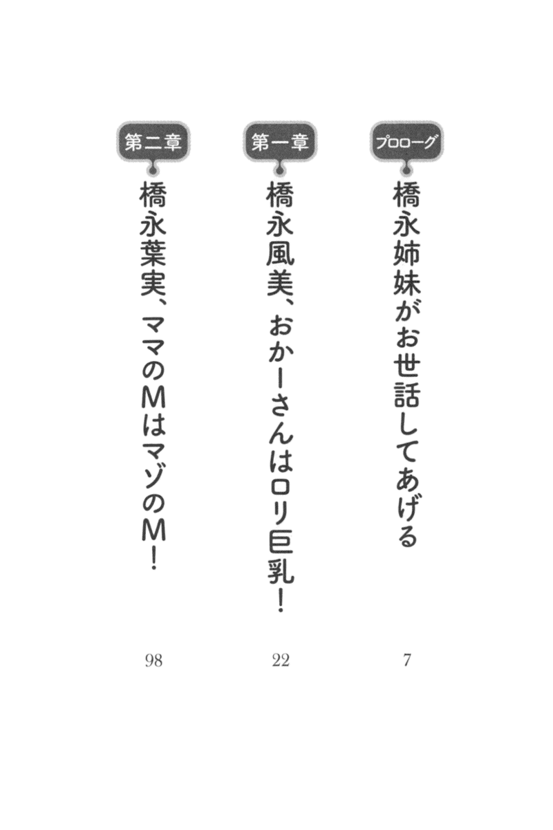 [Habara Tetsu, Hinata Momo] Toshiue Loli Shimai ni Babumi o Kanjite Amaetai! - Page 14