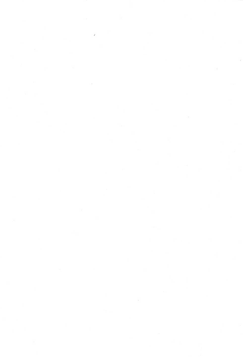 [SAKURAYA (Akami)] Brunhild Toumetsusen (THE IDOLM@STER CINDERELLA GIRLS, Granblue Fantasy) [Digital] - Page 3