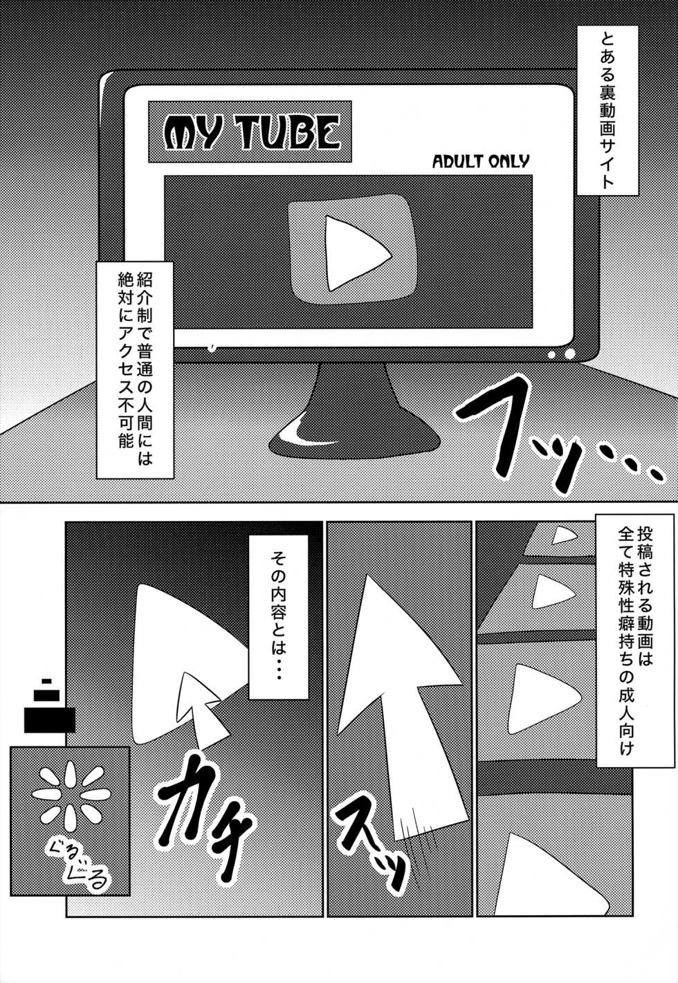 (C86) [TUMBLE WEED (Itameshi)] Fluttery Ribbon (Pokémon) - Page 4