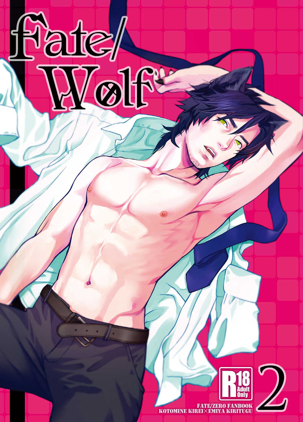 [MECCHORI (Mitsuru)] Fate/Wolf 2 (Fate/Zero) [Digital] - Page 1