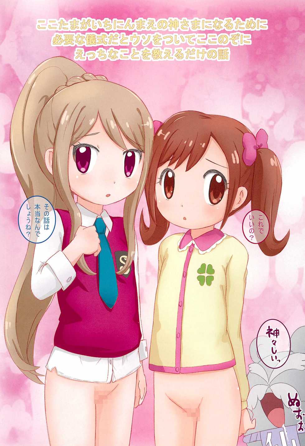 (C91) [PalePink! (Sakurabe Notos)] Himitsu no NZMMnk (Kamisama Minarai Himitsu no Cocotama) - Page 13