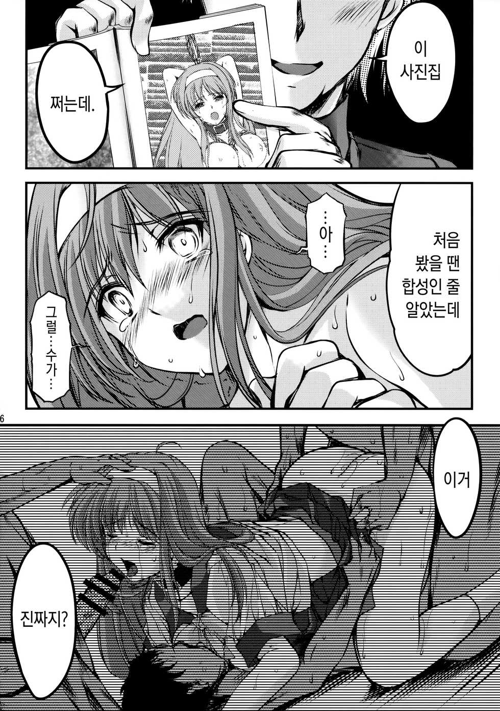 (C86) [HIGH RISK REVOLUTION (Aizawa Hiroshi, Iwasaki Hiromasa)] Shiori Dai-Nijuuichi-Shou Saigo no Kizuna - Shiori Volume 21 The Last Of Her Emotional Ties (Tokimeki Memorial) [Korean] - Page 25