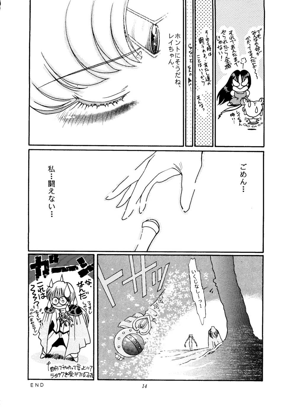 [Shounen Yuuichirou (Various)] Gekijouban Special (Bishoujo Senshi Sailor Moon) - Page 13