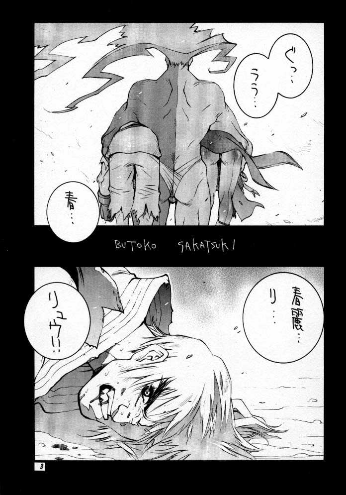 (C57) [TITANCOLOR BRAND (Sakatsuki Butoko)] Street Fighter Monogatari (Street Fighter) - Page 4