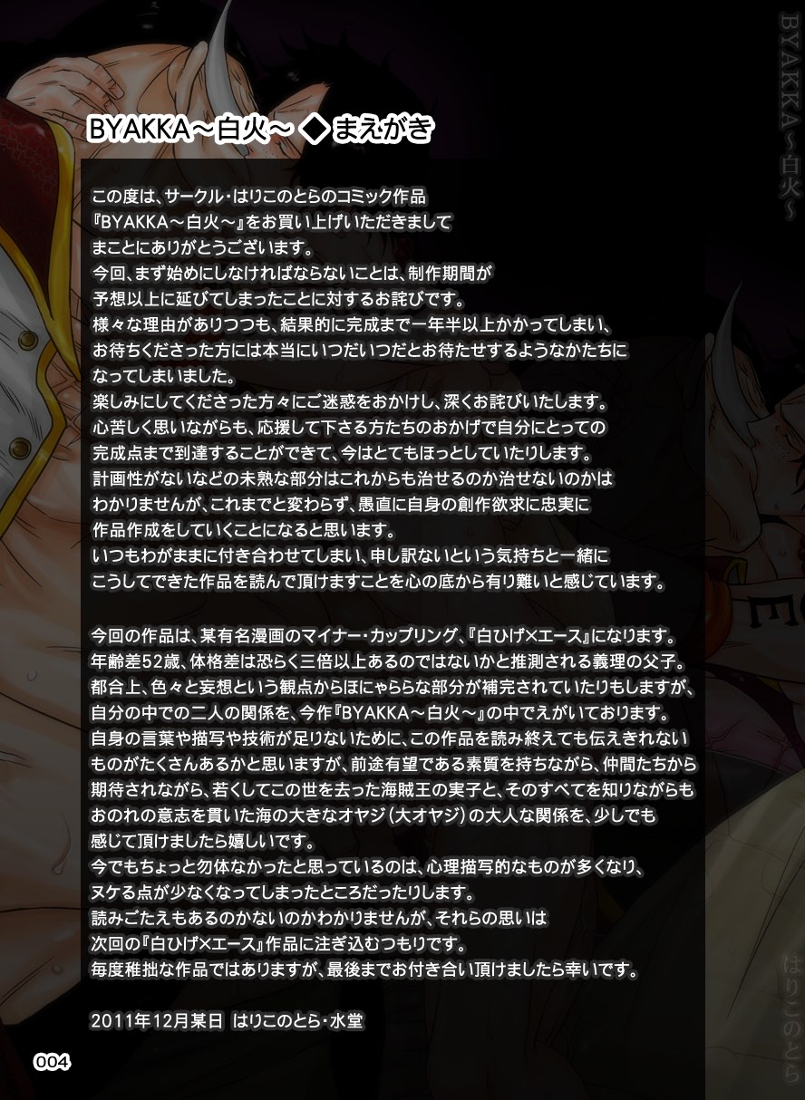 [Hariko no Tora (Midoh Torako)] BYAKKA (One Piece) [Digital] - Page 4