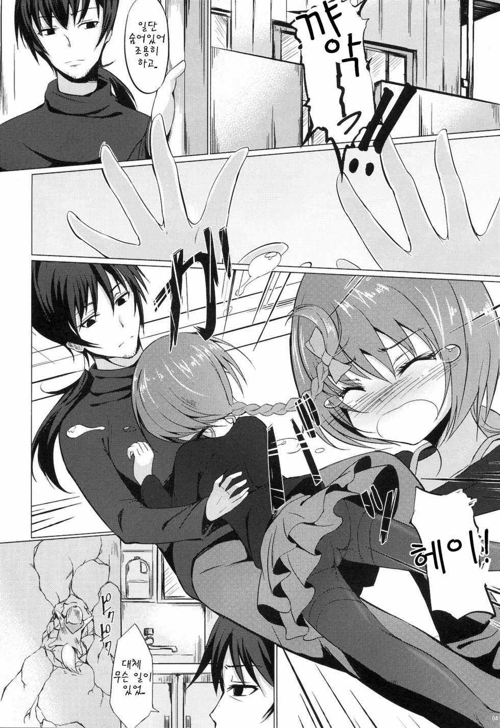 (C77) [Dream Halls! (Tsuzuri)] Koi no Hana Saku. (DARKER THAN BLACK -Ryuusei no Gemini-) [Korean] [팀 아동복지부] - Page 4