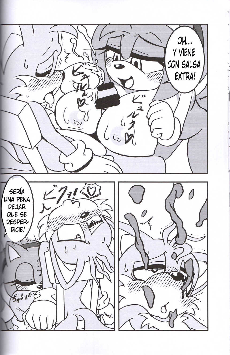 (Kansai! Kemoket 2) [Furry Fandom (Michiyoshi)] Kemono no Kanzume 3 | Canned Furry 3 (Sonic The Hedgehog) [Spanish] [kalock] - Page 11