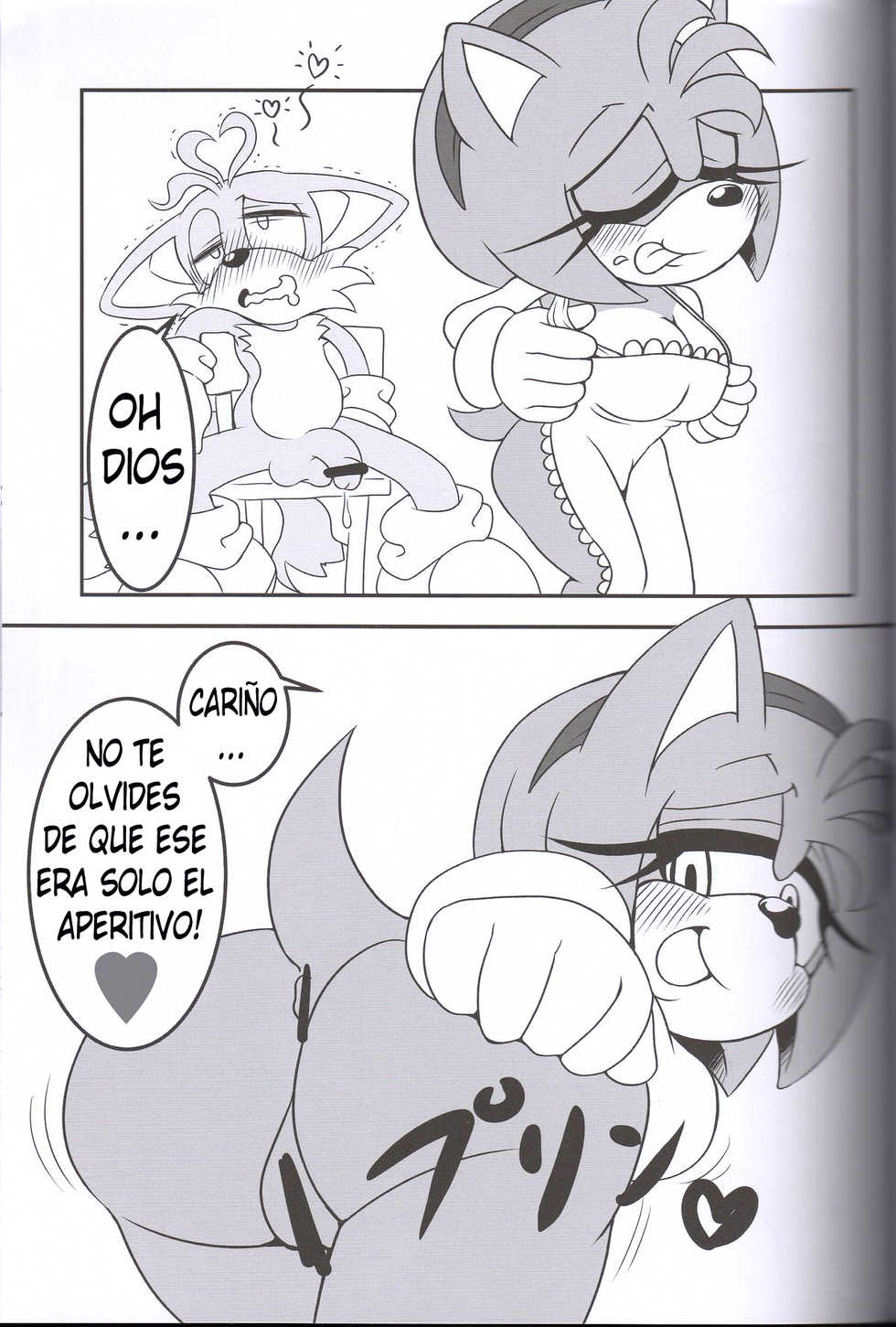 (Kansai! Kemoket 2) [Furry Fandom (Michiyoshi)] Kemono no Kanzume 3 | Canned Furry 3 (Sonic The Hedgehog) [Spanish] [kalock] - Page 12