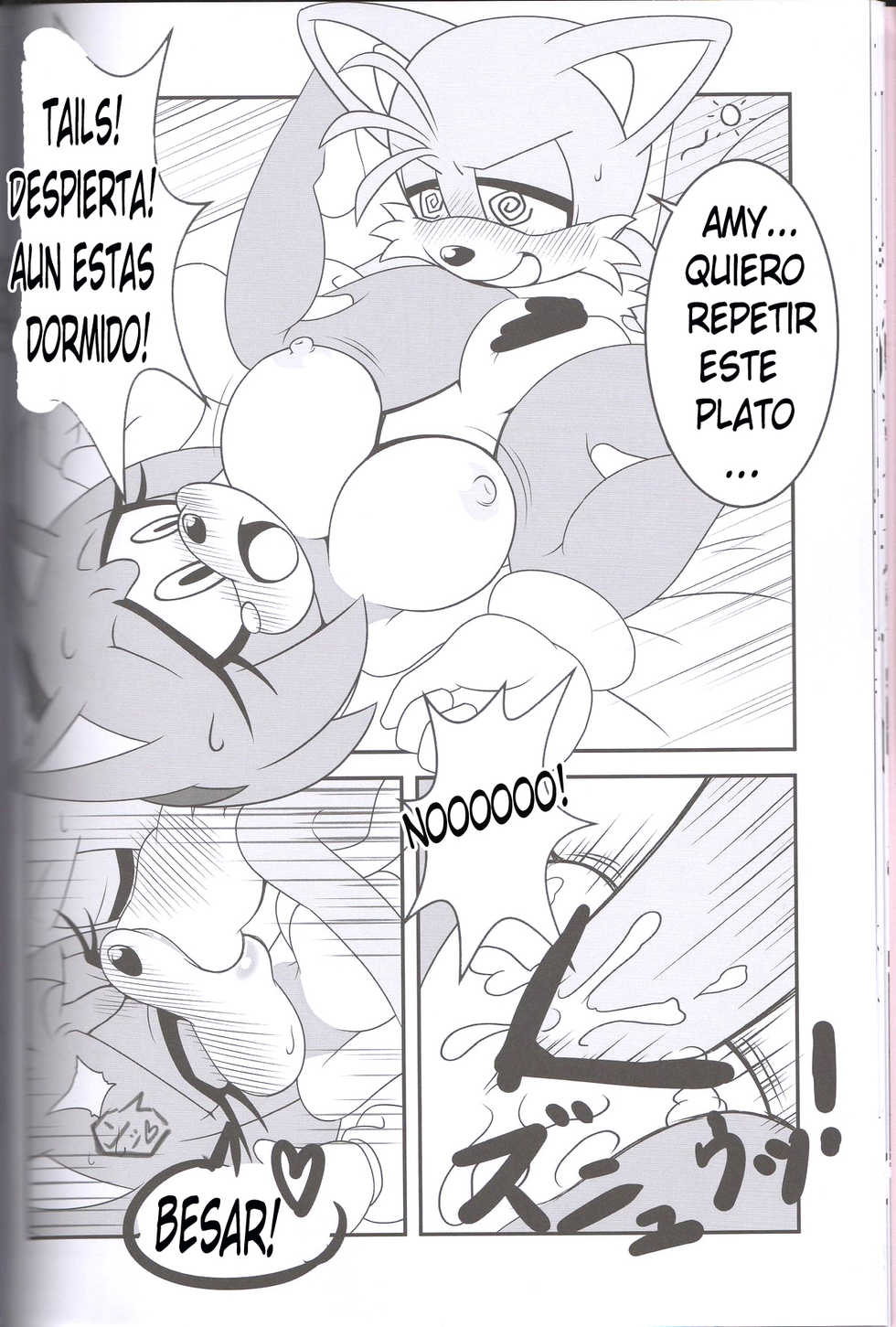(Kansai! Kemoket 2) [Furry Fandom (Michiyoshi)] Kemono no Kanzume 3 | Canned Furry 3 (Sonic The Hedgehog) [Spanish] [kalock] - Page 17