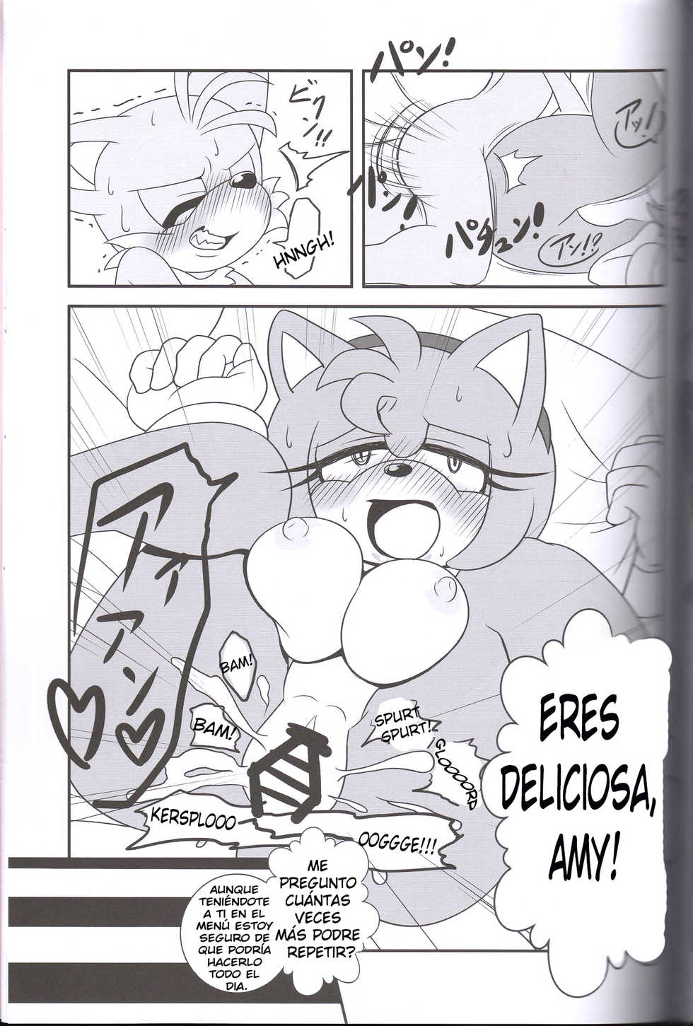 (Kansai! Kemoket 2) [Furry Fandom (Michiyoshi)] Kemono no Kanzume 3 | Canned Furry 3 (Sonic The Hedgehog) [Spanish] [kalock] - Page 18