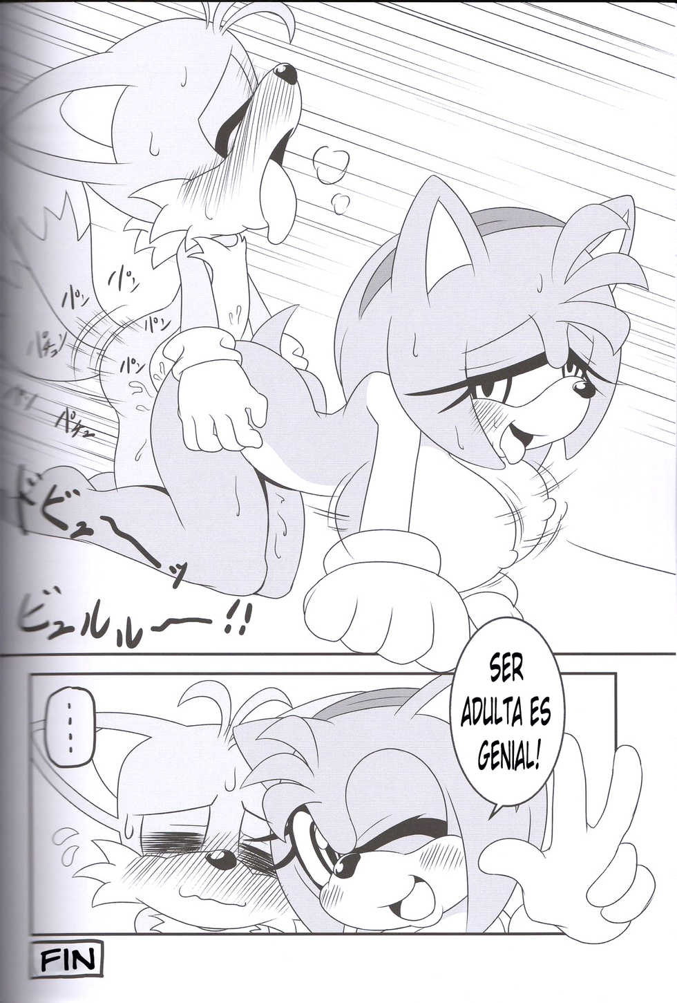 (Kansai! Kemoket 2) [Furry Fandom (Michiyoshi)] Kemono no Kanzume 3 | Canned Furry 3 (Sonic The Hedgehog) [Spanish] [kalock] - Page 28
