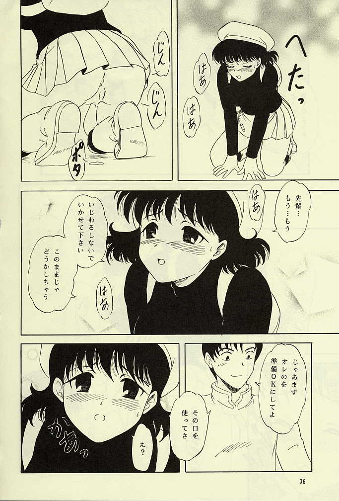 (C62) [Chandora & Lunchbox (Makunouchi Isami)] FAIRY GARDEN (Chobits) - Page 33