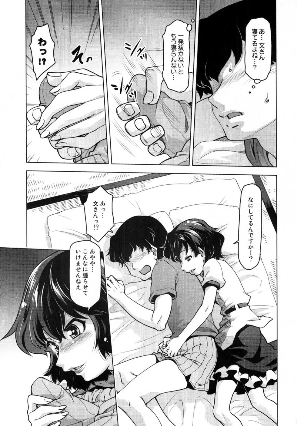 [STUDIO Hamachigumi (Mizuki Hitoshi)] Sora kara Ayaya ga Futtekita! (Touhou Project) [Digital] - Page 9