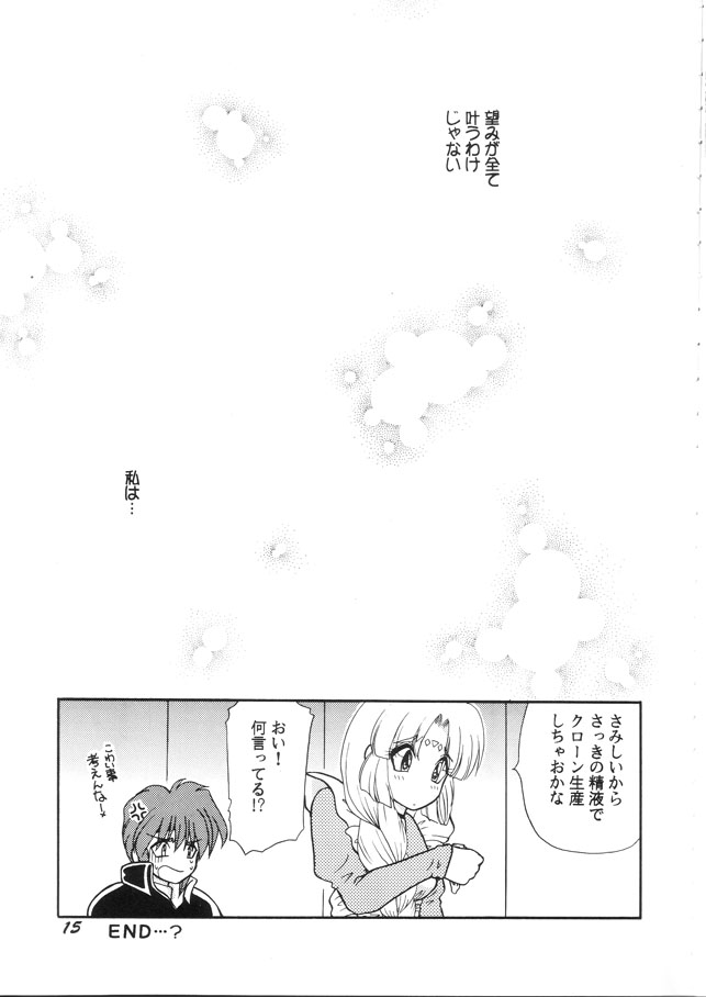 (C58) [SHEEPCLOUD (Hitsujiko)] NEO (Lost Universe) - Page 14