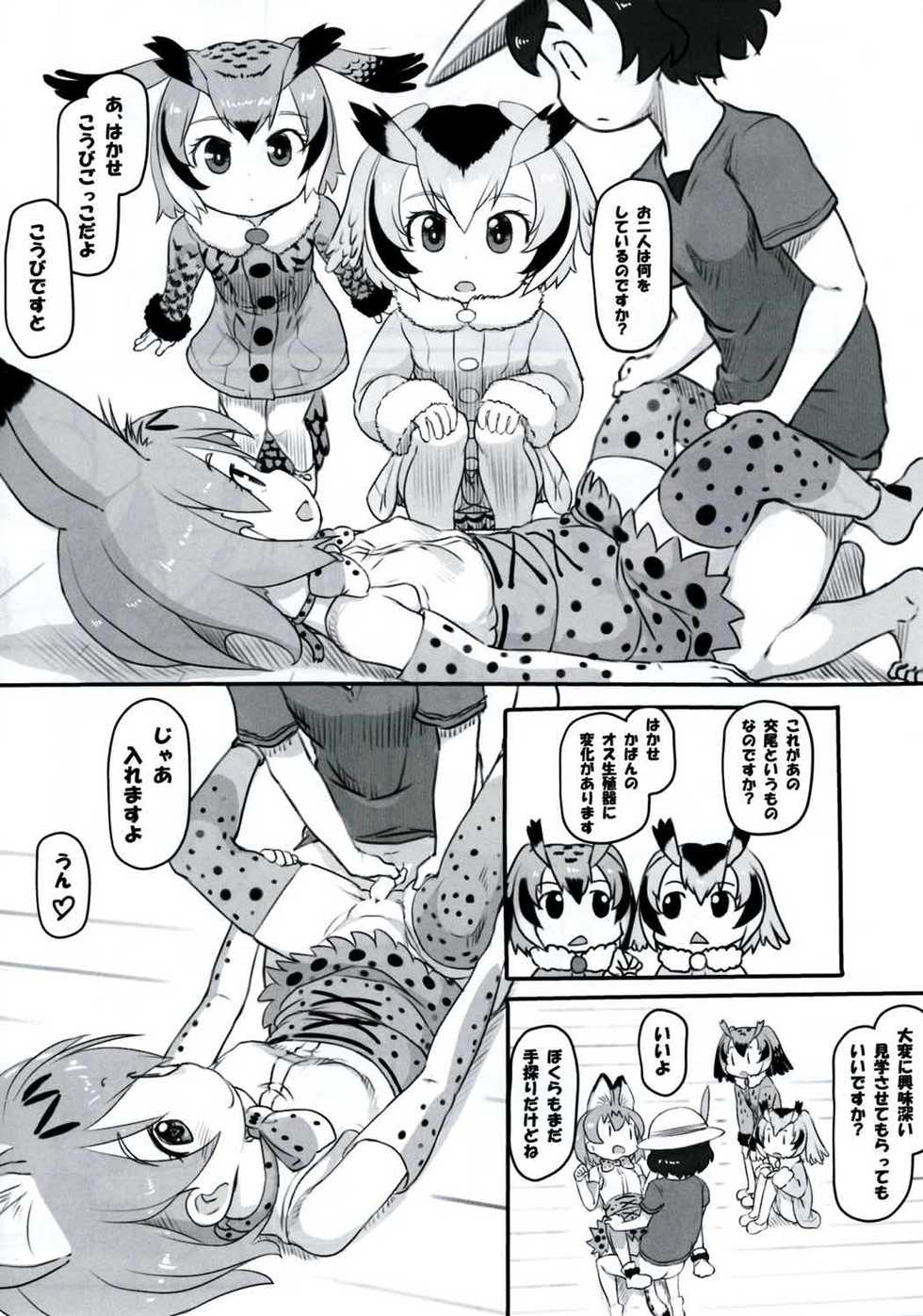 (Japariket) [Kuromahou Kenkyuujo (Nukaji)] Koubi no Shikata o Oshiete (Kemono Friends) - Page 11