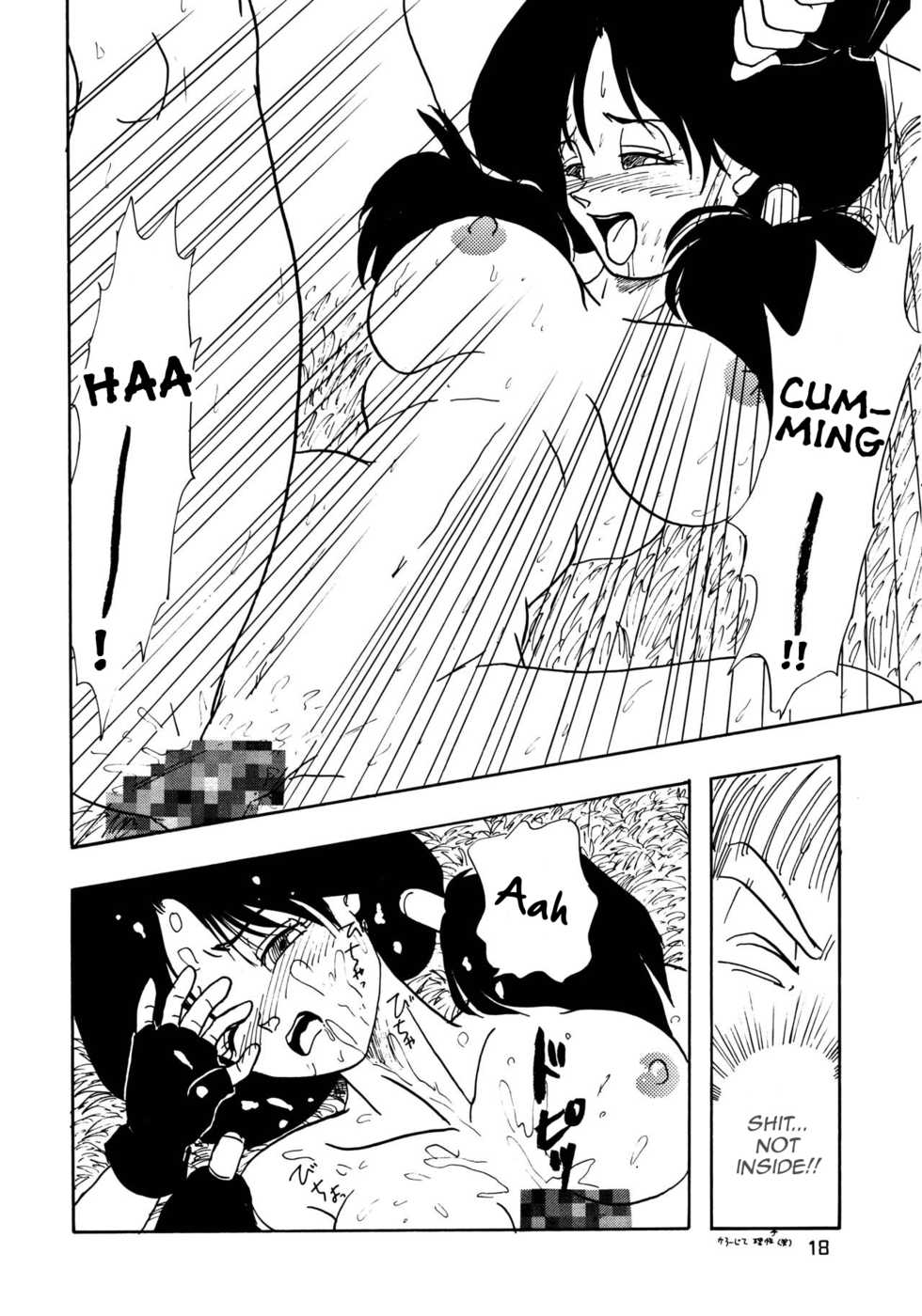 (C48) [Chirigami Goya, Fusuma Goten (Shouji Haruko)] YYY (Dragon Ball Z) [English] [Zero Translations] - Page 18