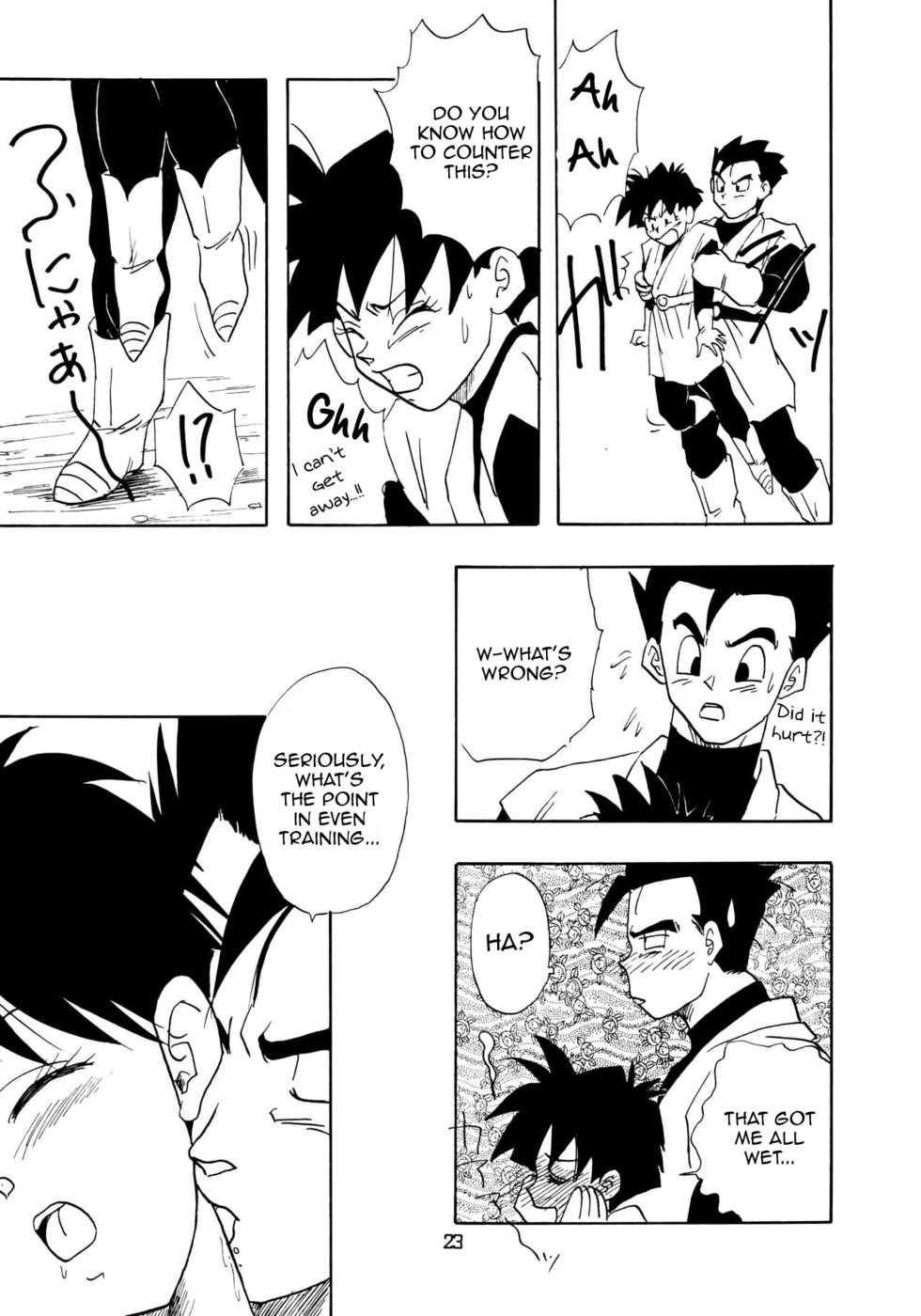 (C48) [Chirigami Goya, Fusuma Goten (Shouji Haruko)] YYY (Dragon Ball Z) [English] [Zero Translations] - Page 23