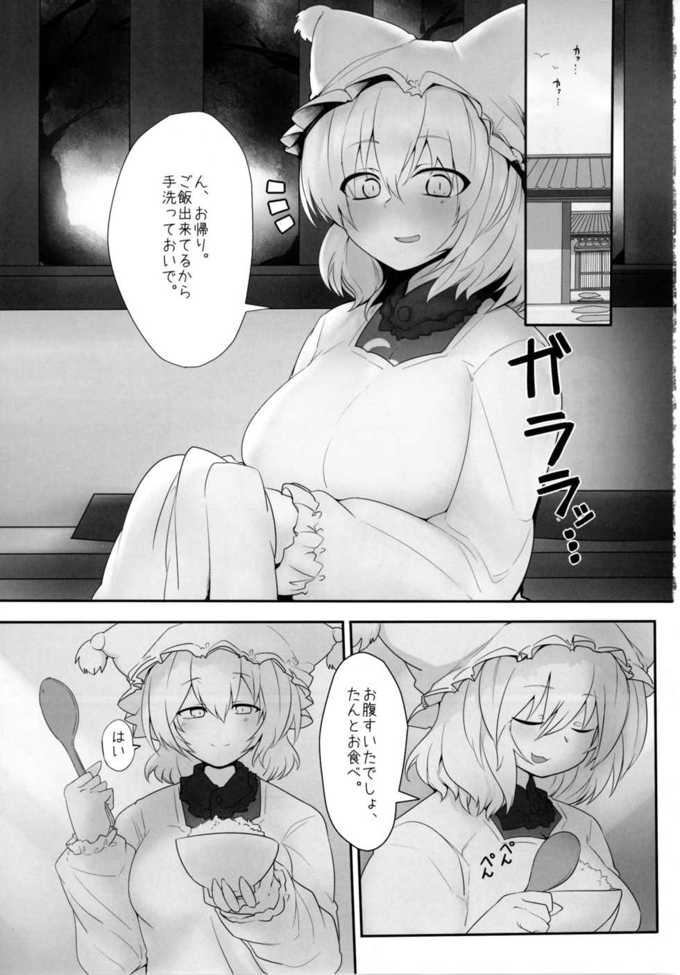 (Reitaisai 14) [RTD (Mizuga)] Ran-sama to Suru Hon. (Touhou Project) - Page 3