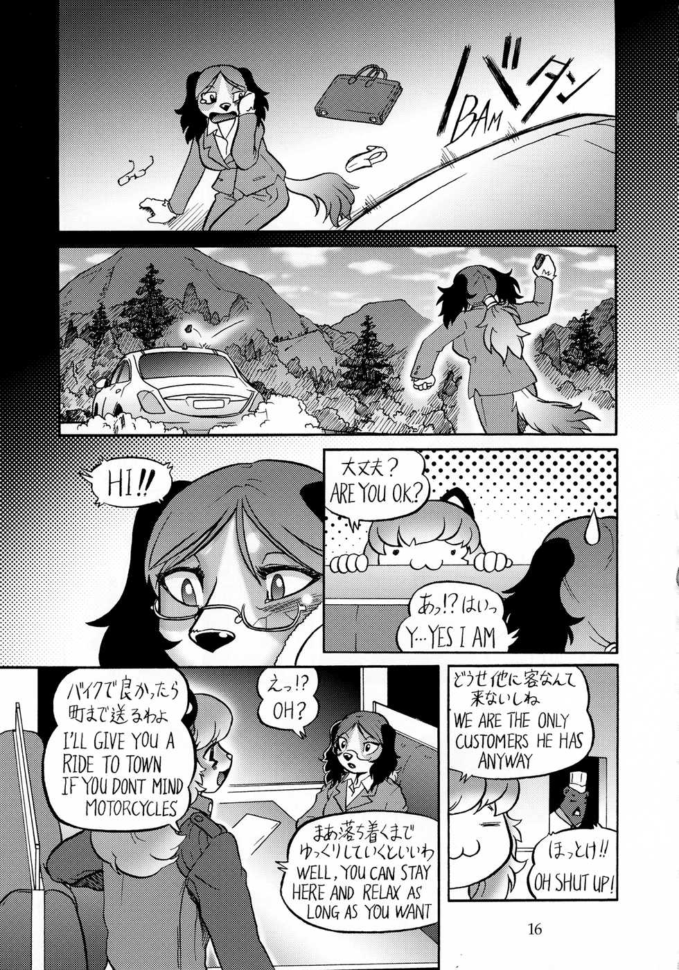 (C85) [Flash Point (Various)] Fulily [Japanese, English] - Page 15