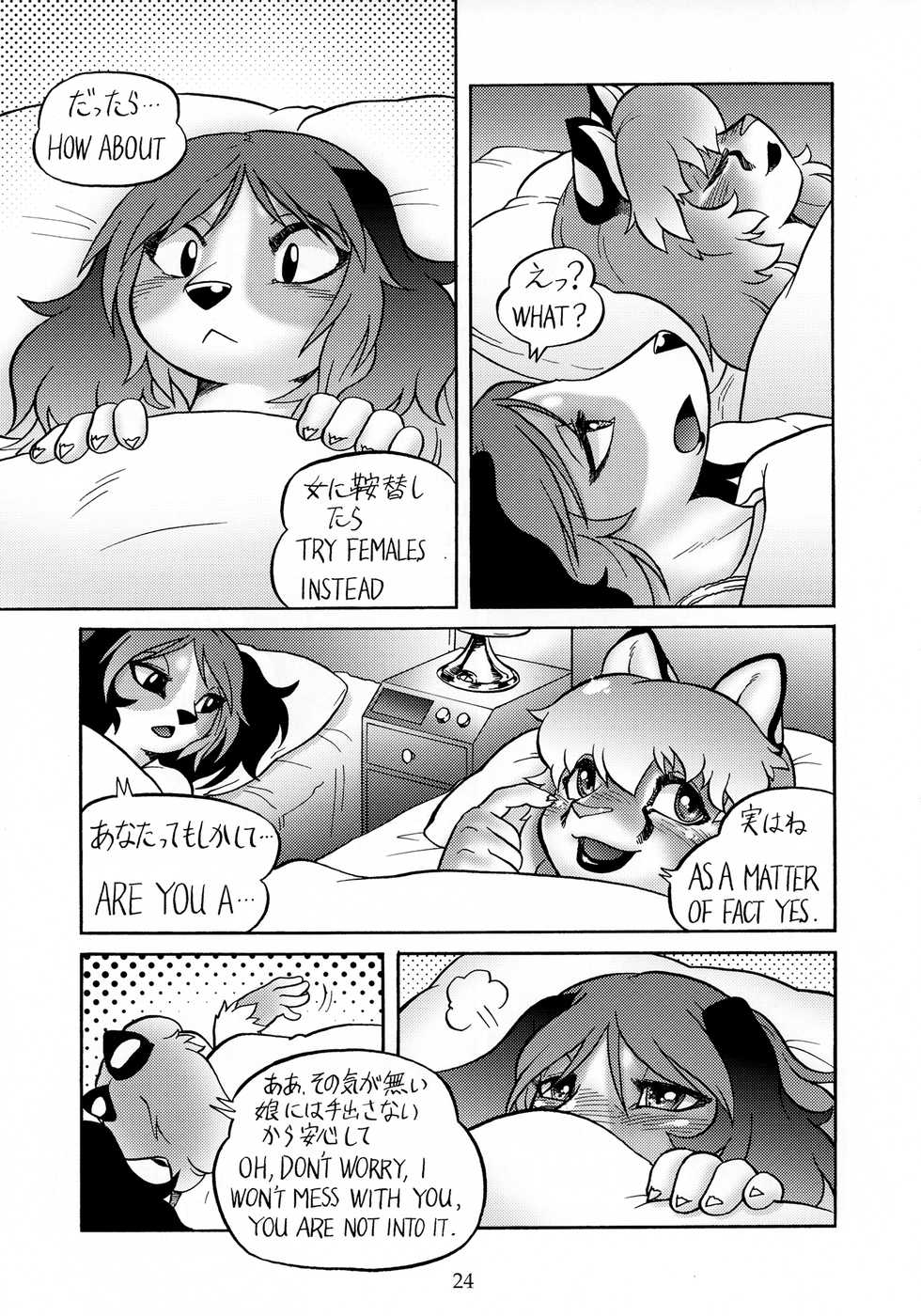 (C85) [Flash Point (Various)] Fulily [Japanese, English] - Page 23