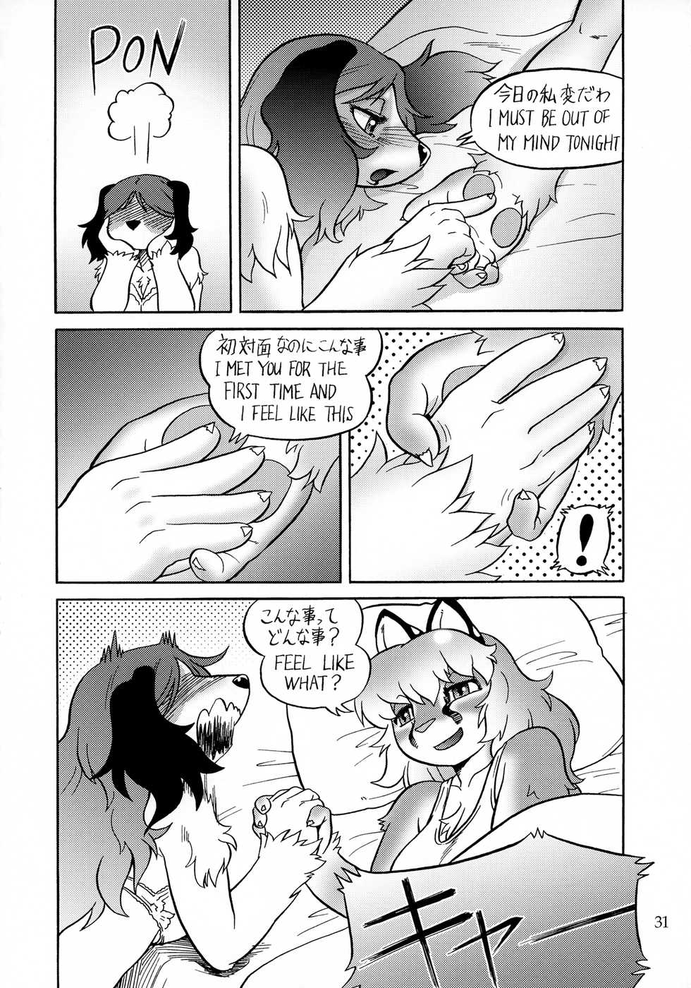 (C85) [Flash Point (Various)] Fulily [Japanese, English] - Page 30