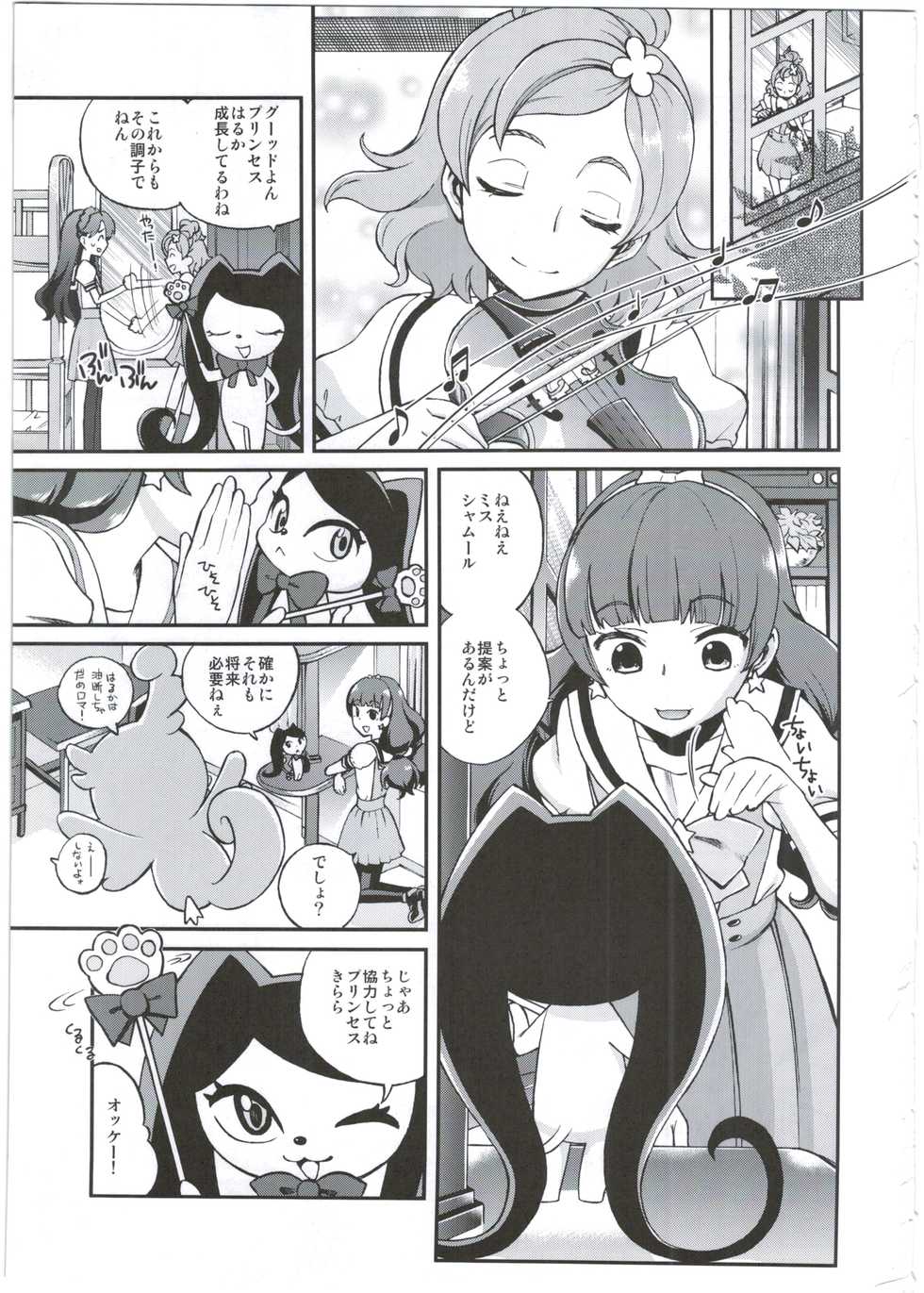 (C88) [Ezokuroten (Miyanogi Jiji)] Twinkle Star Princess (Go! Princess PreCure) - Page 3
