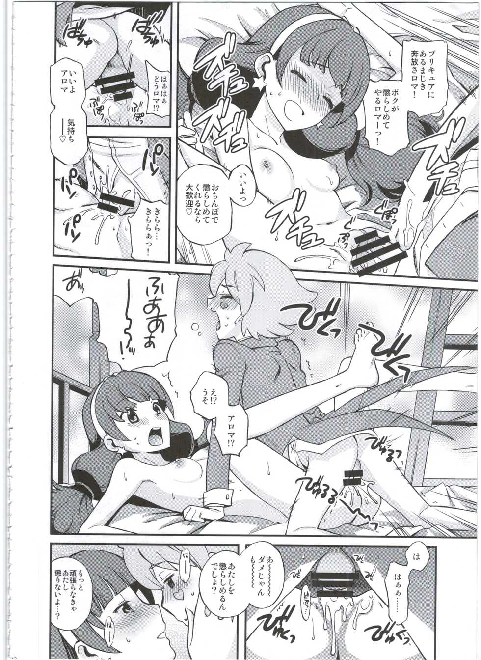 (C88) [Ezokuroten (Miyanogi Jiji)] Twinkle Star Princess (Go! Princess PreCure) - Page 12