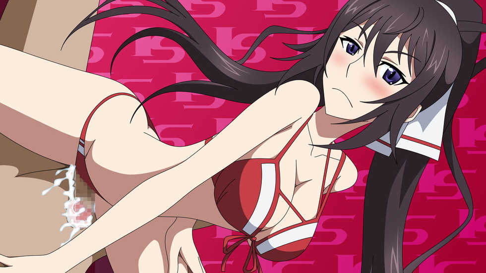 [Atelier Gons] IS na Kobeya (IS <Infinite Stratos>) - Page 11