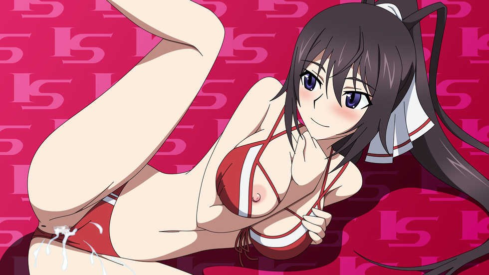 [Atelier Gons] IS na Kobeya (IS <Infinite Stratos>) - Page 15